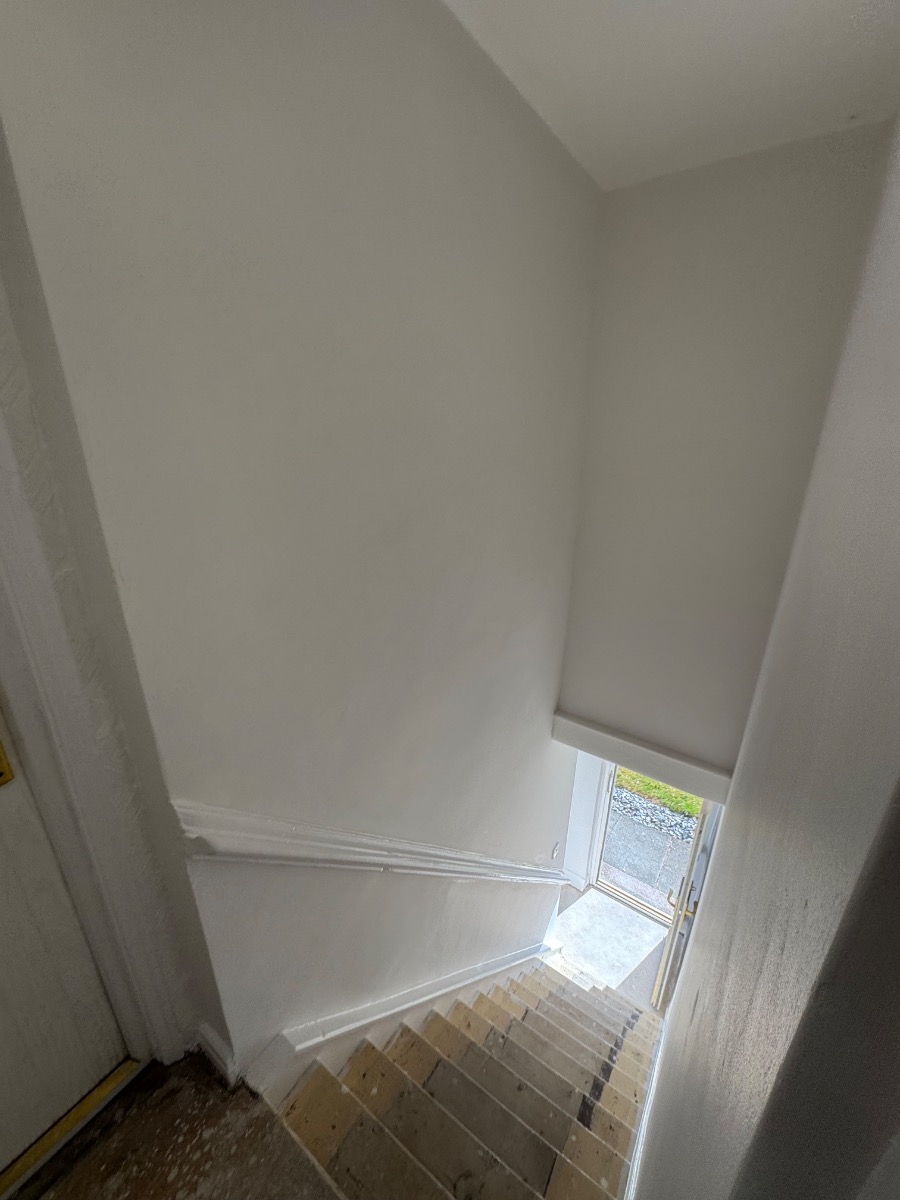 Painter and Decorator: Image 4